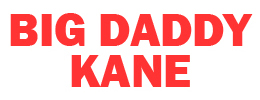 Collection of Big Daddy Kane in a gallery layout
