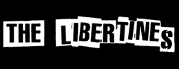 Collection of The Libertines in a gallery layout