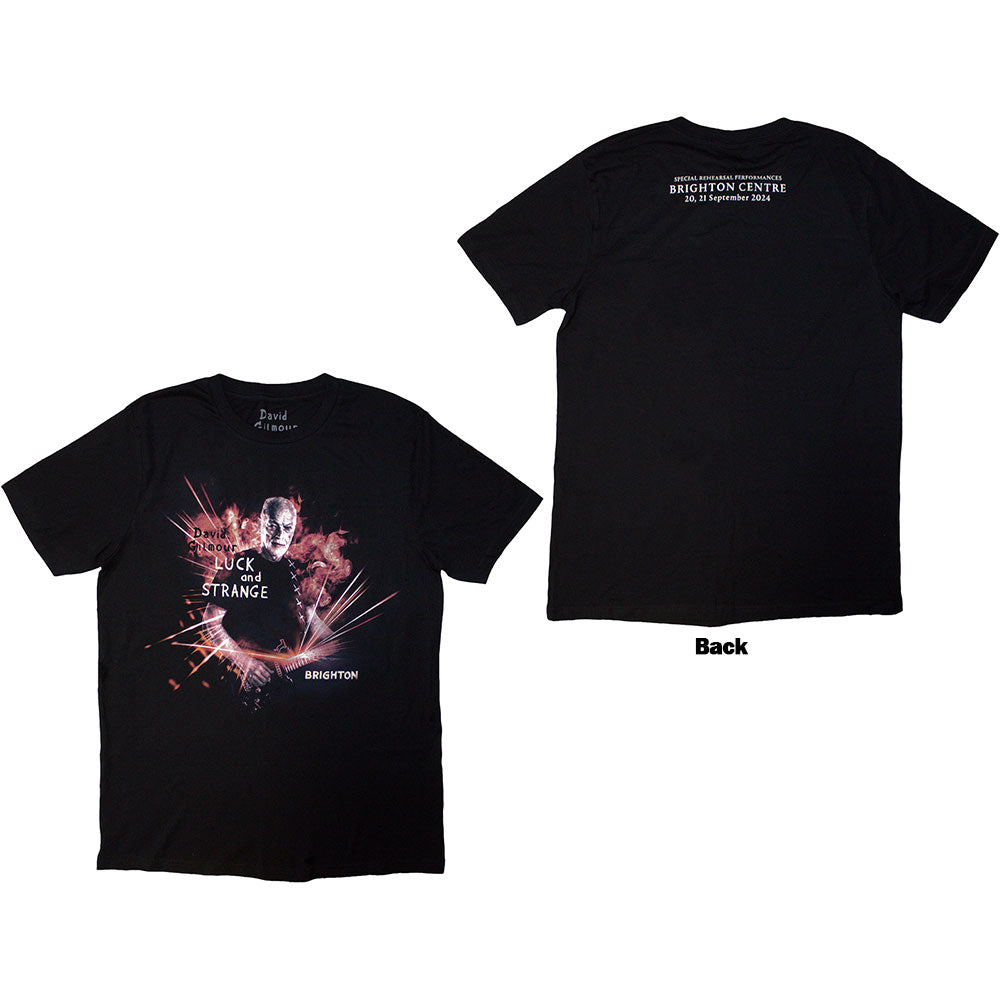 David Gilmour Unisex T-Shirt Luck & Strange Brighton