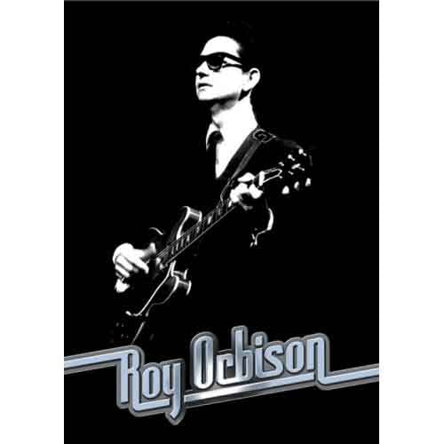 Roy Orbison  Postcard This Time